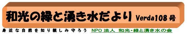 NPO法人　和光・緑と湧き水の会　会報VERDA108号 代表理事 高橋絹世　http://wako-wakimizu.org/　身近な自然を知り、親しみ 、守ろう