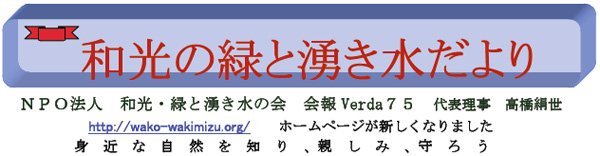 NPO法人　和光・緑と湧き水の会　会報VERDA74号　http://wako-wakimizu.org/　身近な自然を知り、親しみ、守ろう