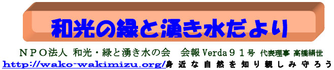 NPO法人　和光・緑と湧き水の会　会報VERDA91号 代表理事 高橋絹世　http://wako-wakimizu.org/　身近な自然を知り、親しみ 、守ろう